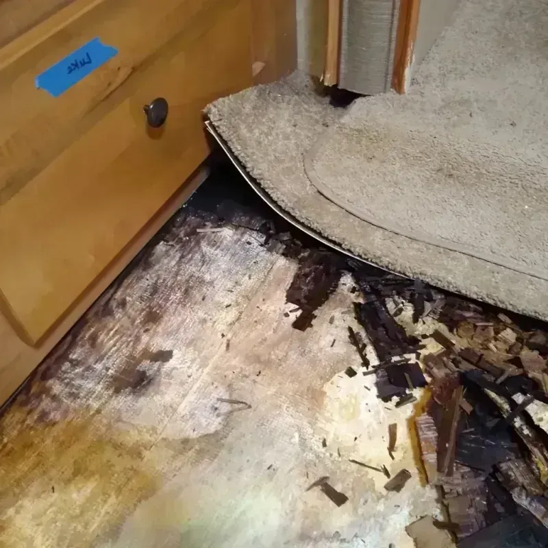 Best Wood Floor Water Damage Service in West Unity, OH